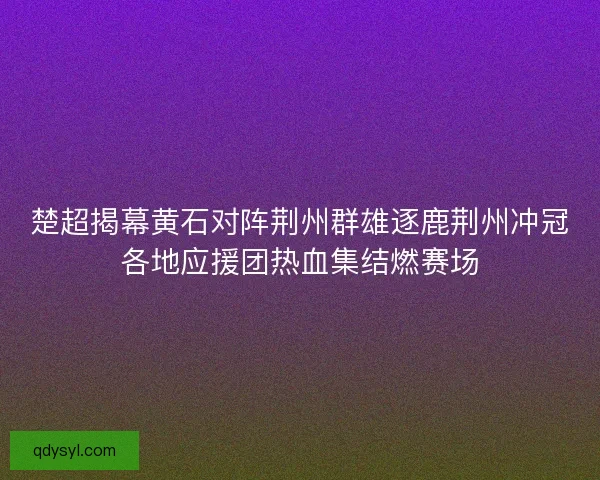 楚超揭幕黄石对阵荆州群雄逐鹿荆州冲冠各地应援团热血集结燃赛场